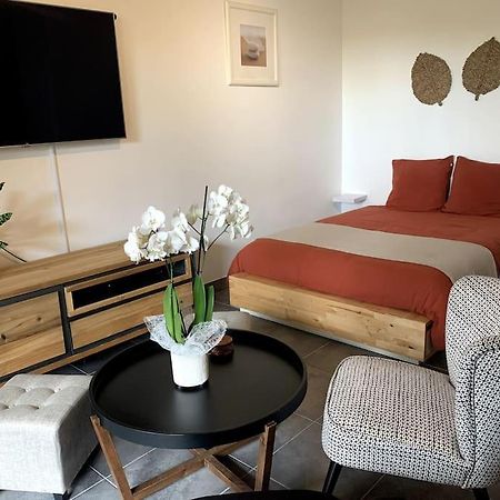 Grand Studio Avec Coin Nuit, Proche Mer Et Montagnes Roquebrune-sur Argens Dış mekan fotoğraf