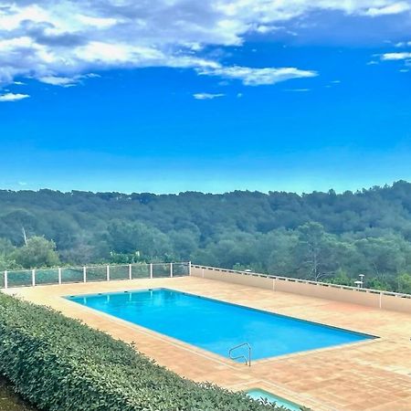 Grand Studio Avec Coin Nuit, Proche Mer Et Montagnes Roquebrune-sur Argens Dış mekan fotoğraf